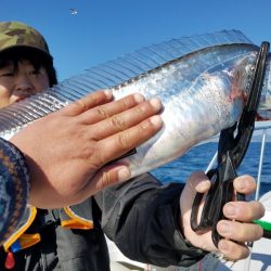 遊漁船 ニライカナイ 釣果