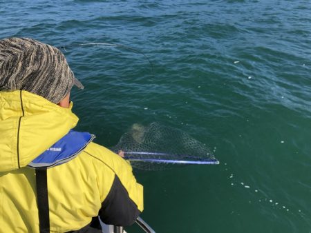 Magic(マジック) 釣果