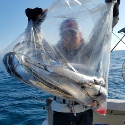 遊漁船 ニライカナイ 釣果