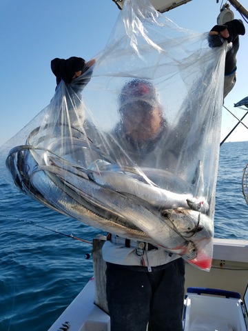 遊漁船 ニライカナイ 釣果