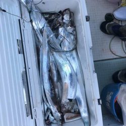 スカイマリン 釣果