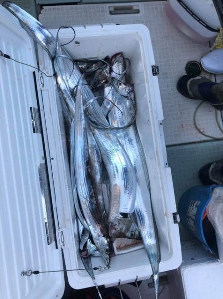 スカイマリン 釣果