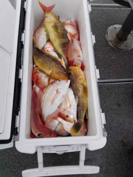 第二大福丸 釣果