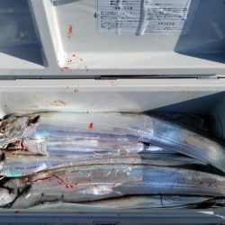 遊漁船 ニライカナイ 釣果