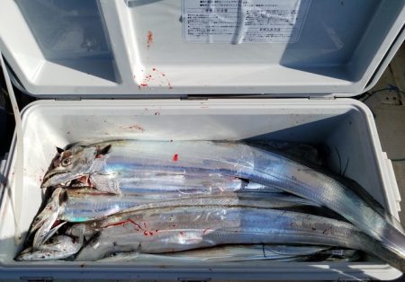 遊漁船 ニライカナイ 釣果