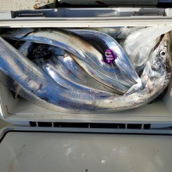 遊漁船 ニライカナイ 釣果