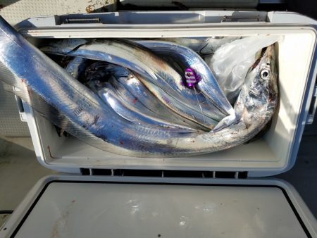 遊漁船 ニライカナイ 釣果