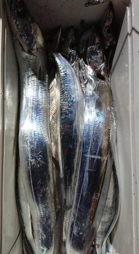 スカイマリン 釣果