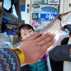 遊漁船 ニライカナイ 釣果
