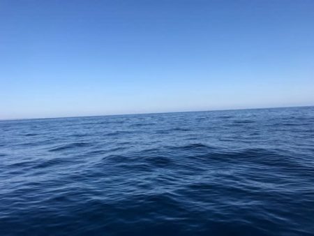 へいみつ丸 釣果