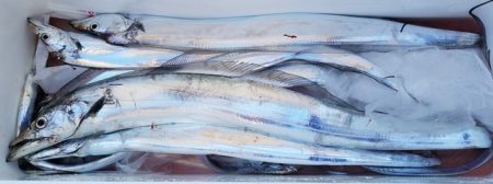 遊漁船 ニライカナイ 釣果