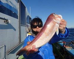 久里浜黒川本家 釣果