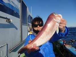 久里浜黒川本家 釣果