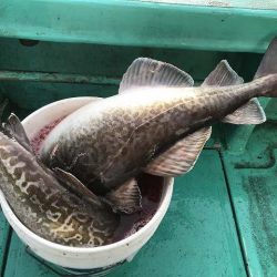 広進丸 釣果