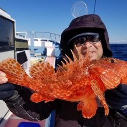 しまや丸 釣果