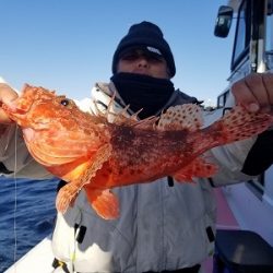 しまや丸 釣果