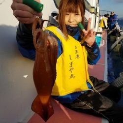 しまや丸 釣果