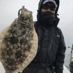 Magic（マジック） 釣果