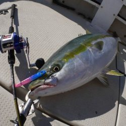 TOPGUN名古屋 釣果