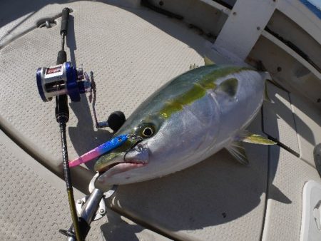 TOPGUN名古屋 釣果