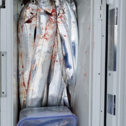 遊漁船 ニライカナイ 釣果