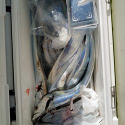 遊漁船 ニライカナイ 釣果