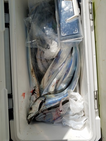 遊漁船 ニライカナイ 釣果