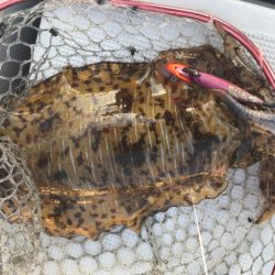 まると屋 釣果