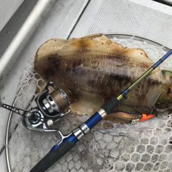 まると屋 釣果