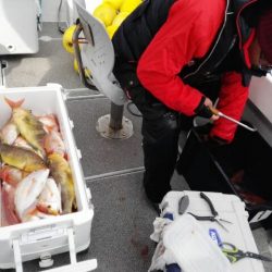 第二大福丸 釣果