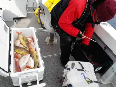 第二大福丸 釣果