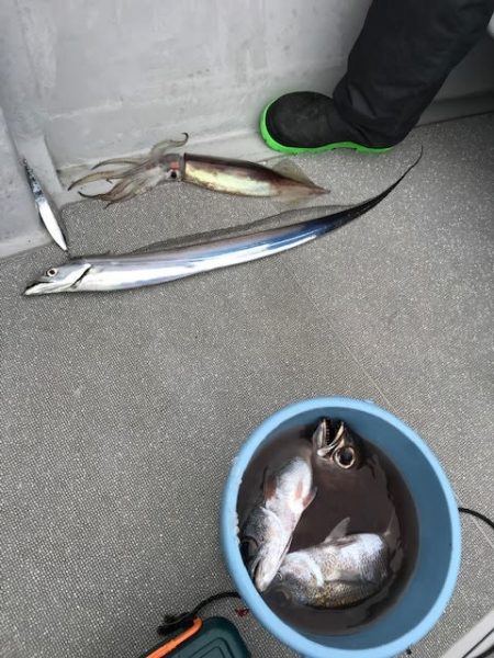 へいみつ丸 釣果