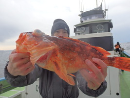 久里浜黒川本家 釣果