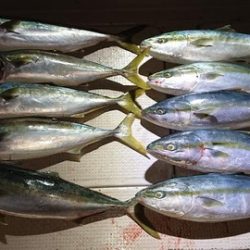 スカイマリン 釣果