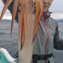 シードリーム 釣果