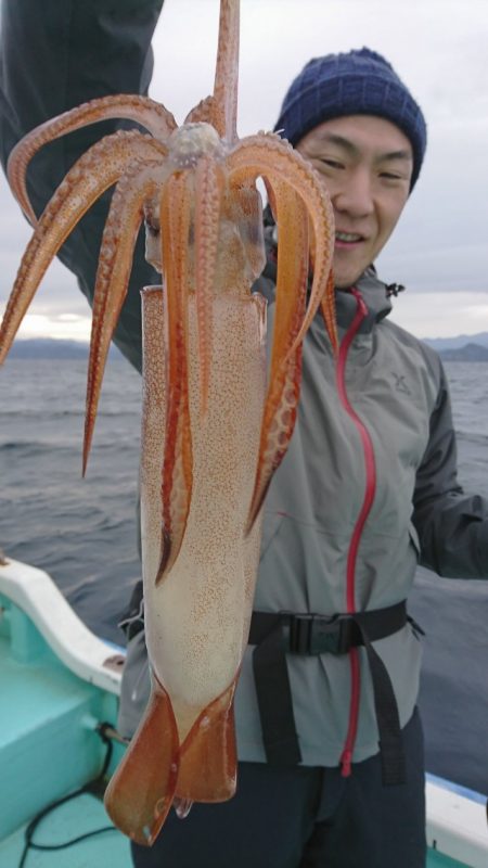 シードリーム 釣果