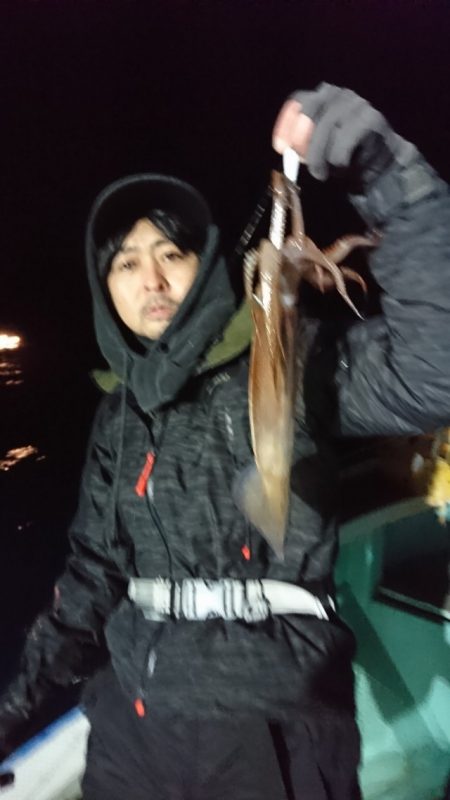 シードリーム 釣果