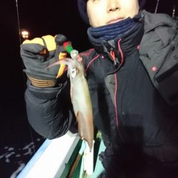 シードリーム 釣果