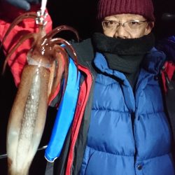 シードリーム 釣果