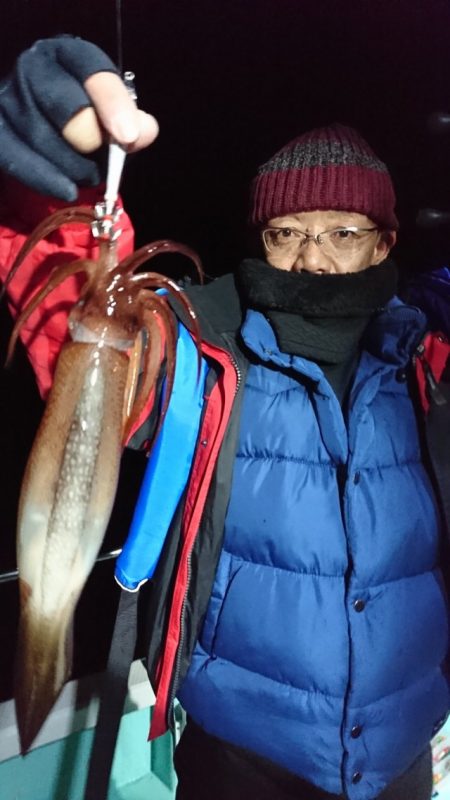 シードリーム 釣果