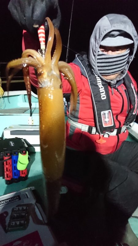 シードリーム 釣果