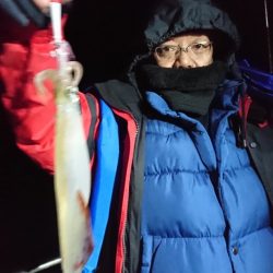 シードリーム 釣果