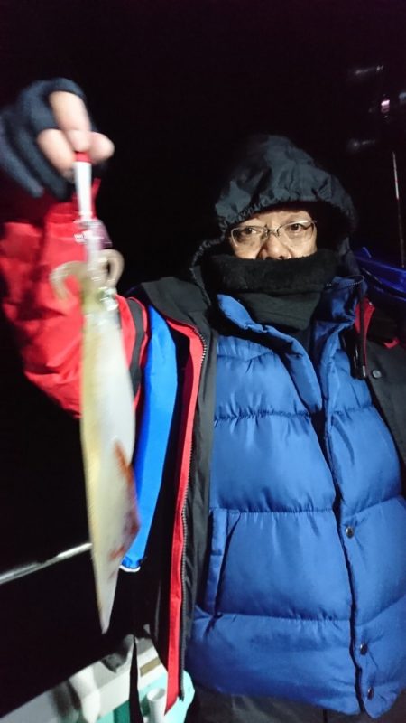 シードリーム 釣果