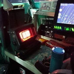 シードリーム 釣果