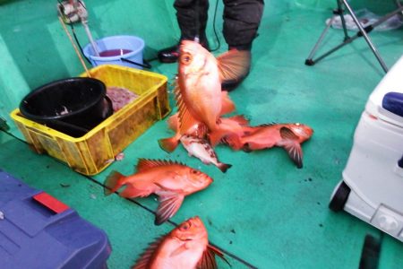 第三むつりょう丸 釣果