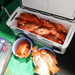 第三むつりょう丸 釣果