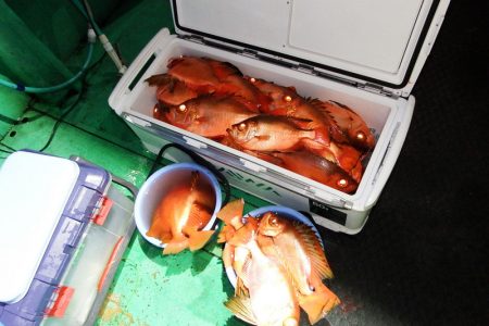 第三むつりょう丸 釣果