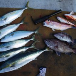 小海途 釣果