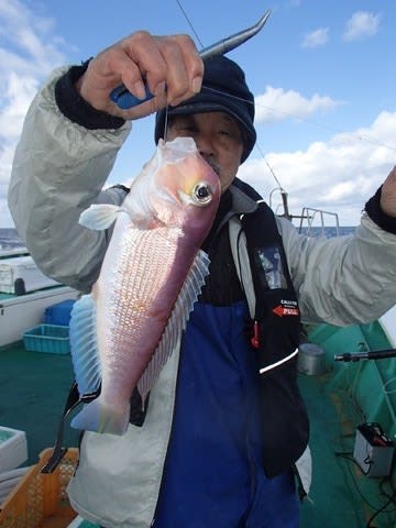 第二むつ漁丸 釣果