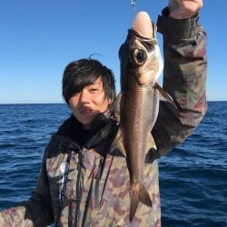 へいみつ丸 釣果